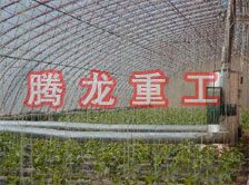 大棚花卉供暖設備、大棚卉采暖設備、大棚花卉取暖設備
