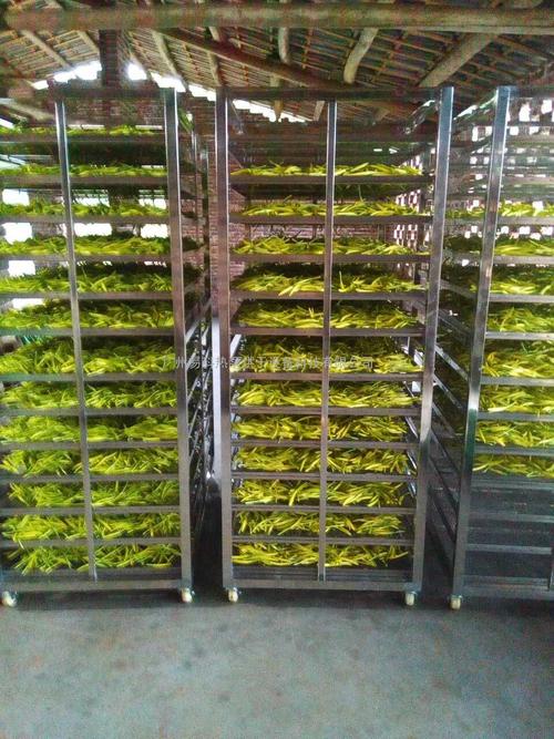 黃花菜烘干機(jī)、黃花菜烘干設(shè)備、黃花菜干燥機(jī)、黃花菜干燥設(shè)備、